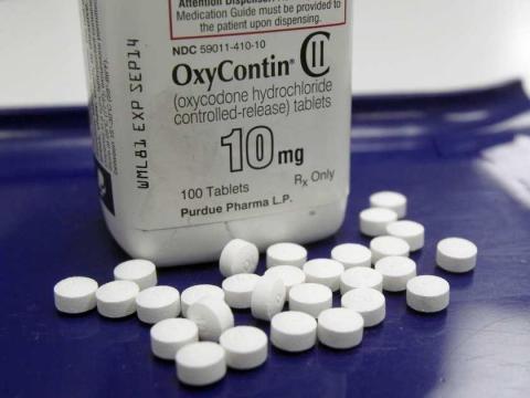 Oxycontin Prescription Bottle