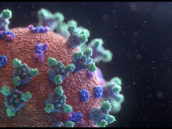 COVID-19 Virus